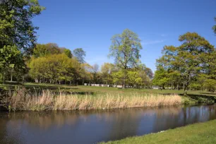 Nature at the Schoonselhof Cemetery, Antwerp