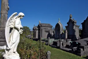 Old graves, Schoonselhof, Antwerp