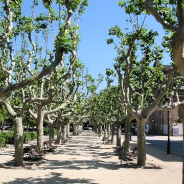 Parc de la Ciutadella, Barcelona