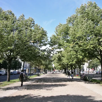 Unter den Linden, Berlin