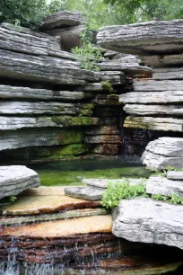 Cascade, Lily Pool Gardens, Chicago