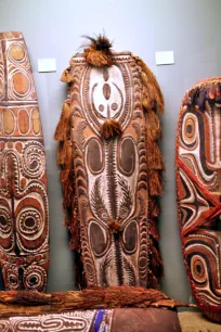 War Shield, Field Museum