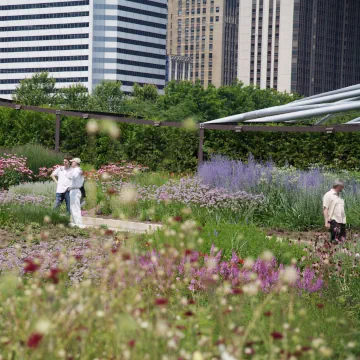 Millennium Park, Chicago