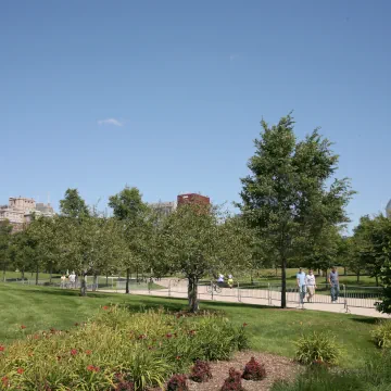 Grant Park, Chicago