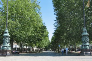 Hauptstraße, Dresden