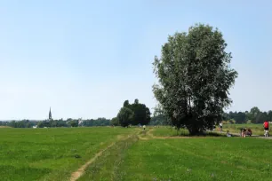 Elbe Valley, Dresden