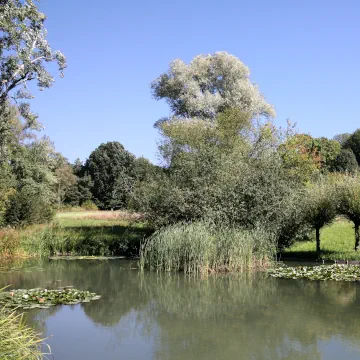 Botanical Garden, Frankfurt