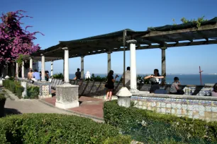 Pergola at the Miradouro de Santa Luzia in Lisbon