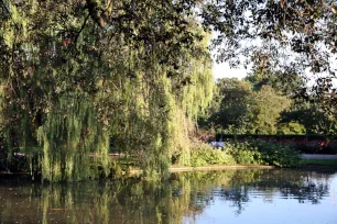 Regent's Park, London