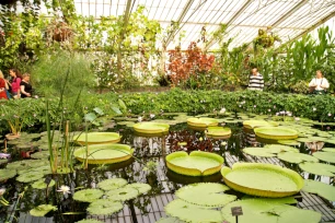 Waterlily House, Kew Gardens, London