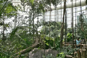 Amazon Rainforest, Audubon Aquarium, New Orleans