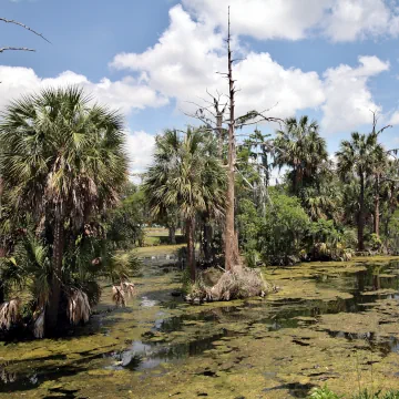 City Park, New Orleans