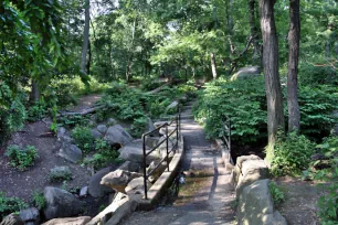 Woodland, Ramble, Central Park