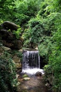 Waterfall at Prospect Park, Brooklyn, New York City