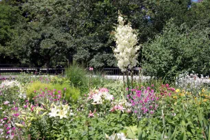 Flowerbed at the Carl Schurz Park in Manhattan, New York City