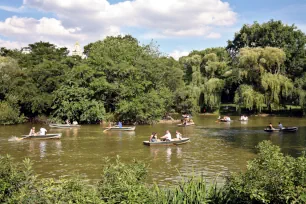 Rowboats at The Lake in Central Park