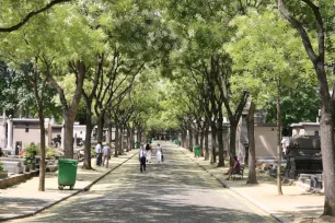 Lane in the Montparnasse Cemetery, Paris