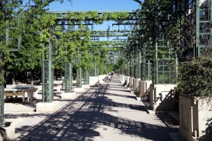 Pergola, Jardin Nelson Mandela, Paris