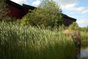 The garden of the Quai Branly Museum in Paris