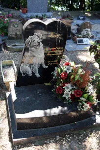 Grave of Fury at the Cimetière des Chiens