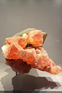 Red fluorite on smoky quartz, Galerie de Minéralogie et de Géologie, Muséum National d'Histoire Naturelle, Paris