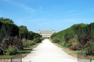 Jardin des Plantes, Paris