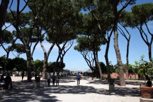 Garden of the oranges, Aventine Hill