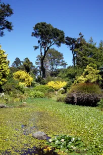 Golden Gate Park, San Francisco