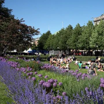 King's Garden, Stockholm