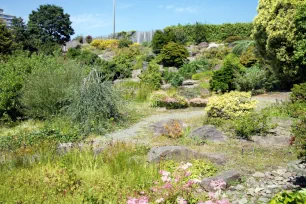 UBC Botanical Garden, Vancouver