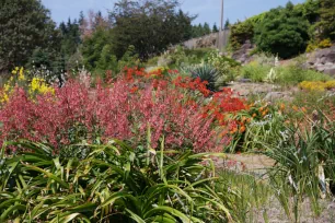 UBC Botanical Garden, Vancouver