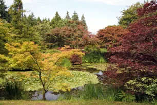 VanDusen Botanical Garden, Vancouver