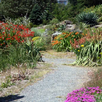 UBC Botanical Garden, Vancouver