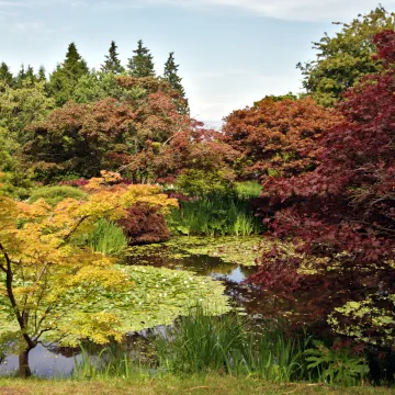 VanDusen Botanical Garden, Vancouver