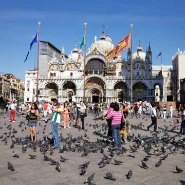 St. Mark's Square, Venice