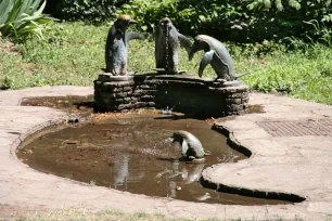 Vogelgetrankebrunnen, Stadtpark Vienna